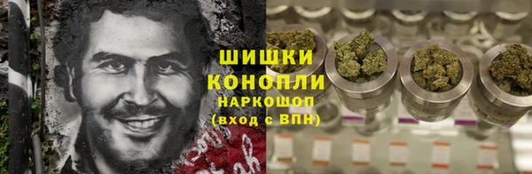 прущие грибы Аркадак