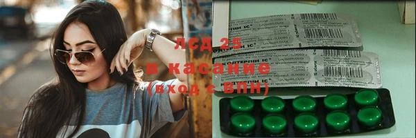 прущие грибы Аркадак