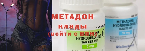 прущие грибы Аркадак