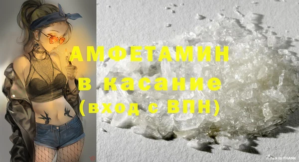 прущие грибы Аркадак