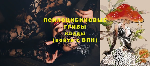 прущие грибы Аркадак