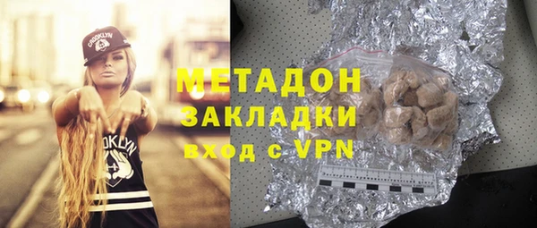 прущие грибы Аркадак