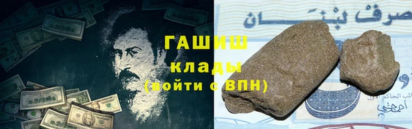 прущие грибы Аркадак