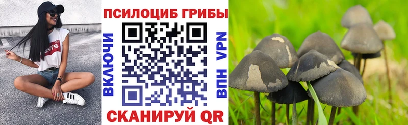 Галлюциногенные грибы MAGIC MUSHROOMS  Макарьев 